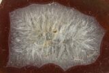 Tumbled Banded Agate Nodule - Kerrouchen, Morocco #324016-1